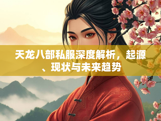 天龙八部私服深度解析，起源、现状与未来趋势