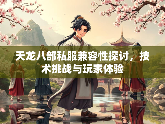 天龙八部私服兼容性探讨，技术挑战与玩家体验