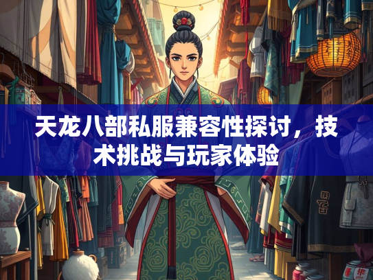 天龙八部私服兼容性探讨，技术挑战与玩家体验