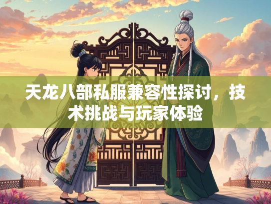 天龙八部私服兼容性探讨，技术挑战与玩家体验