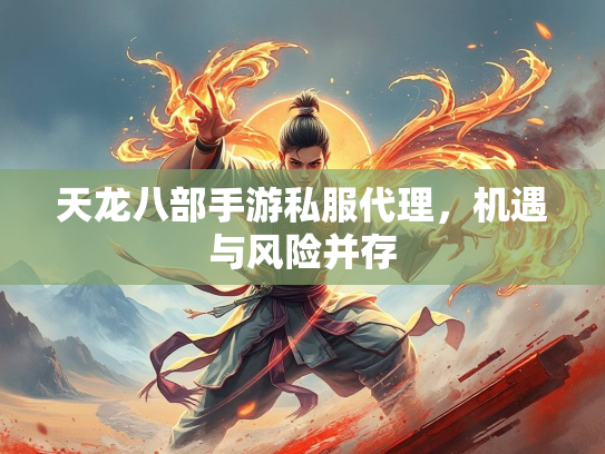 天龙八部手游私服代理，机遇与风险并存