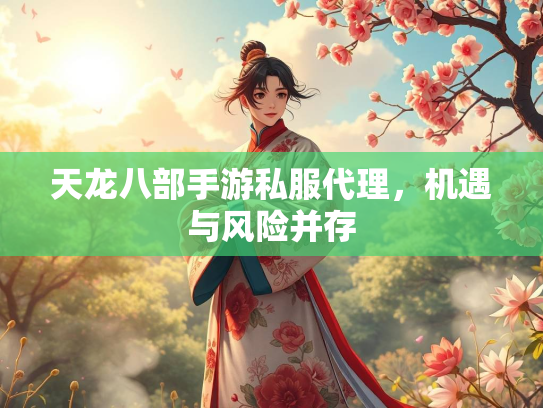 天龙八部手游私服代理，机遇与风险并存