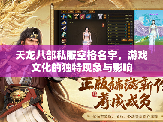 天龙八部私服空格名字，游戏文化的独特现象与影响