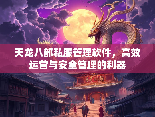 天龙八部私服管理软件，高效运营与安全管理的利器
