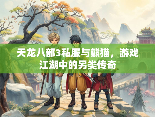 天龙八部3私服与熊猫，游戏江湖中的另类传奇  第3张