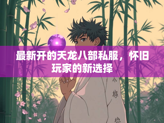 最新开的天龙八部私服，怀旧玩家的新选择  第2张