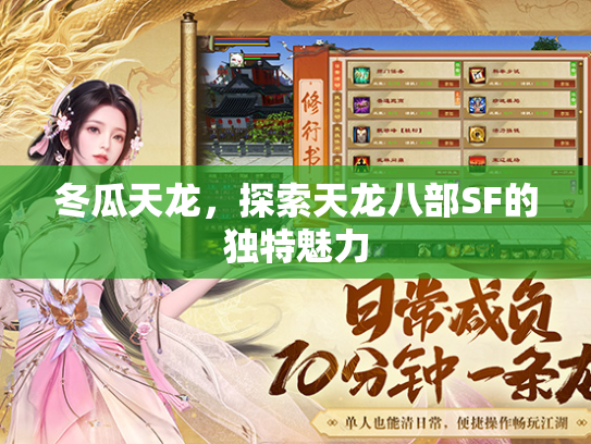 冬瓜天龙，探索天龙八部SF的独特魅力  第3张