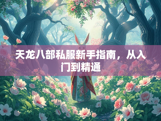 天龙八部私服新手指南，从入门到精通  第1张