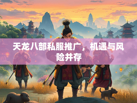 天龙八部私服推广，机遇与风险并存  第2张