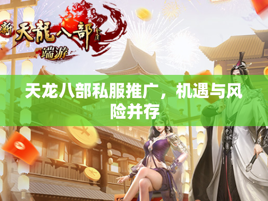天龙八部私服推广，机遇与风险并存  第3张
