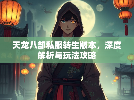 天龙八部私服转生版本，深度解析与玩法攻略  第2张