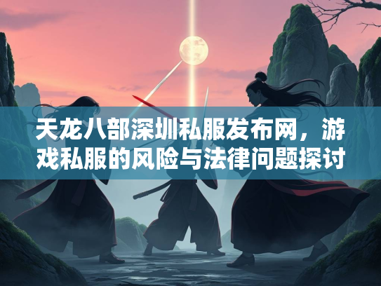 天龙八部深圳私服发布网，游戏私服的风险与法律问题探讨  第3张