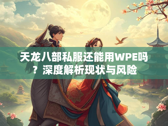 天龙八部私服还能用WPE吗？深度解析现状与风险  第2张