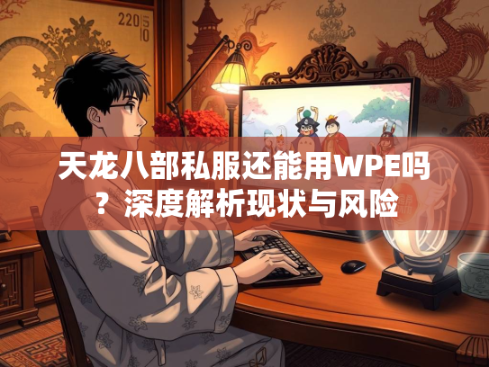 天龙八部私服还能用WPE吗？深度解析现状与风险  第3张