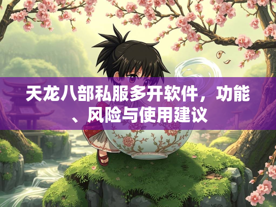 天龙八部私服多开软件，功能、风险与使用建议