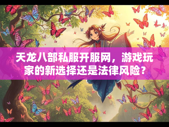 天龙八部私服开服网，游戏玩家的新选择还是法律风险？  第2张