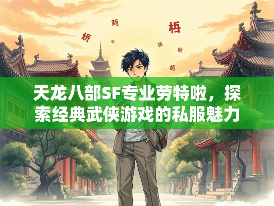天龙八部SF专业劳特啦，探索经典武侠游戏的私服魅力  第2张