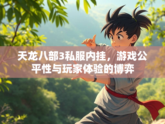 天龙八部3私服内挂，游戏公平性与玩家体验的博弈
