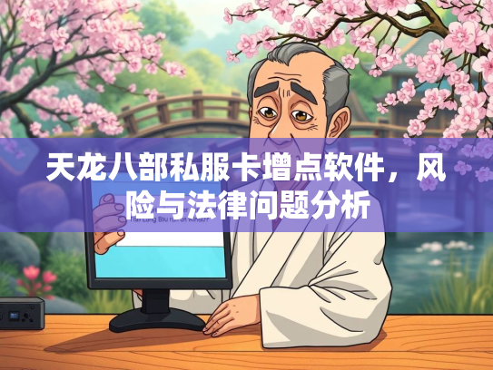天龙八部私服卡增点软件，风险与法律问题分析  第2张