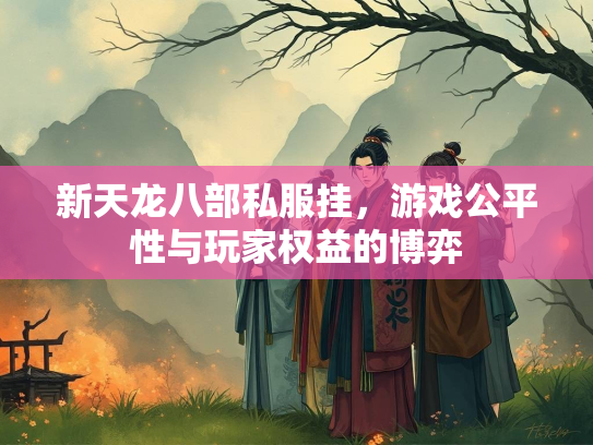 新天龙八部私服挂，游戏公平性与玩家权益的博弈