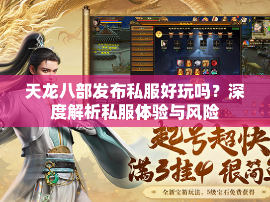 天龙八部发布私服好玩吗？深度解析私服体验与风险