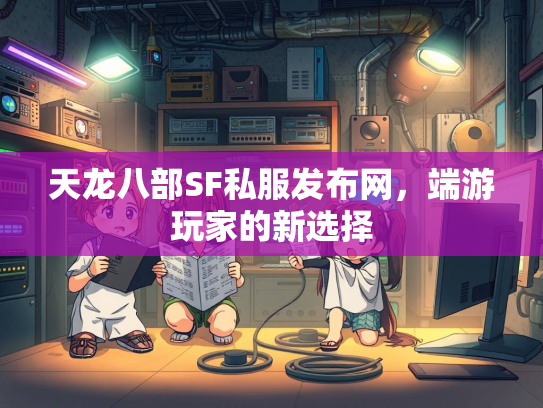 天龙八部SF私服发布网，端游玩家的新选择  第3张