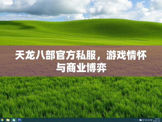 天龙八部官方私服，游戏情怀与商业博弈  第3张