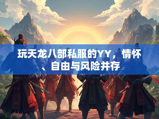 玩天龙八部私服的YY，情怀、自由与风险并存  第2张