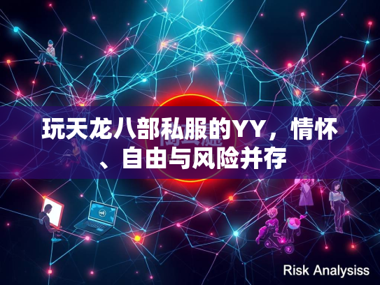 玩天龙八部私服的YY，情怀、自由与风险并存  第3张