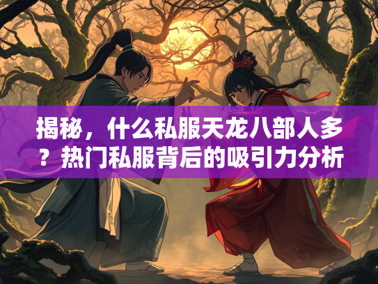 揭秘，什么私服天龙八部人多？热门私服背后的吸引力分析  第2张