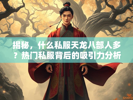 揭秘，什么私服天龙八部人多？热门私服背后的吸引力分析