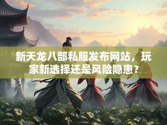 新天龙八部私服发布网站，玩家新选择还是风险隐患？  第2张