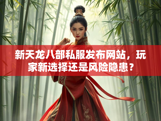 新天龙八部私服发布网站，玩家新选择还是风险隐患？  第3张