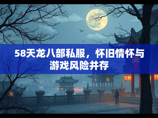 58天龙八部私服，怀旧情怀与游戏风险并存  第2张