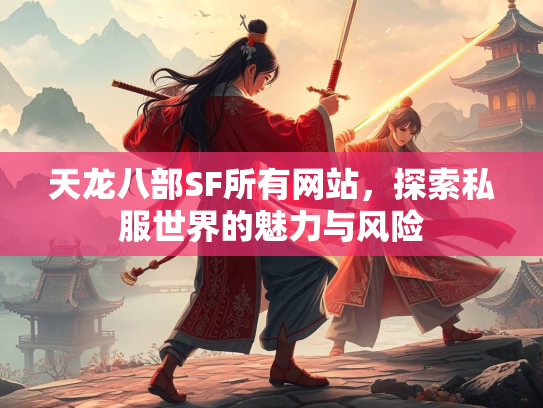 天龙八部SF所有网站，探索私服世界的魅力与风险  第2张