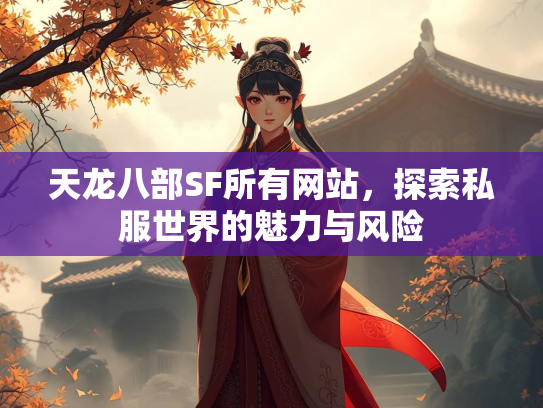 天龙八部SF所有网站，探索私服世界的魅力与风险  第3张