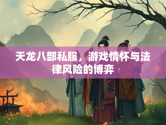 天龙八部私服，游戏情怀与法律风险的博弈  第4张