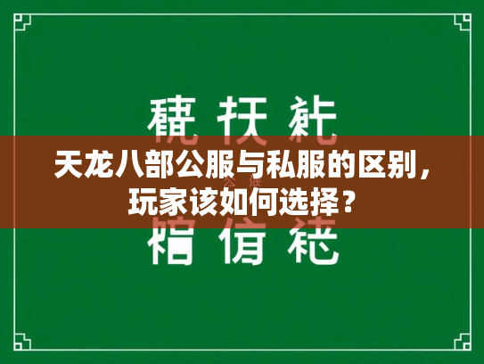 天龙八部公服与私服的区别，玩家该如何选择？