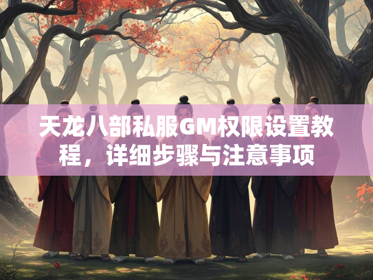 天龙八部私服GM权限设置教程，详细步骤与注意事项  第5张