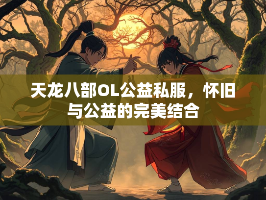 天龙八部OL公益私服，怀旧与公益的完美结合  第4张