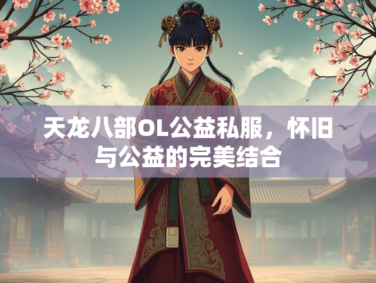 天龙八部OL公益私服，怀旧与公益的完美结合  第5张