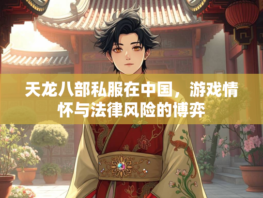 天龙八部私服在中国,游戏情怀与法律风险的博弈 第3张 天龙八部私服在中国,游戏情怀与法律风险的博弈 第3张