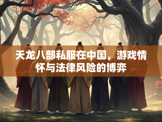 天龙八部私服在中国,游戏情怀与法律风险的博弈 第4张 天龙八部私服在中国,游戏情怀与法律风险的博弈 第4张