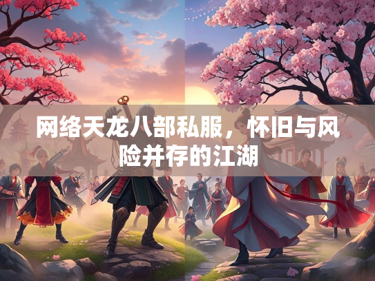 网络天龙八部私服，怀旧与风险并存的江湖  第5张