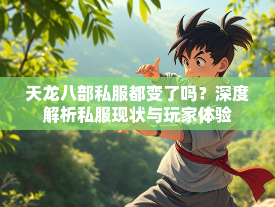 天龙八部私服都变了吗？深度解析私服现状与玩家体验