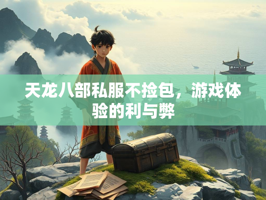 天龙八部私服不捡包，游戏体验的利与弊  第4张