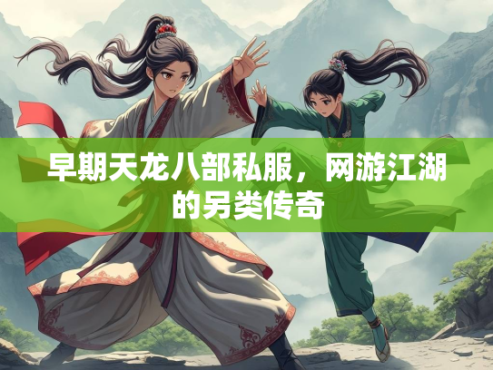 早期天龙八部私服，网游江湖的另类传奇  第4张