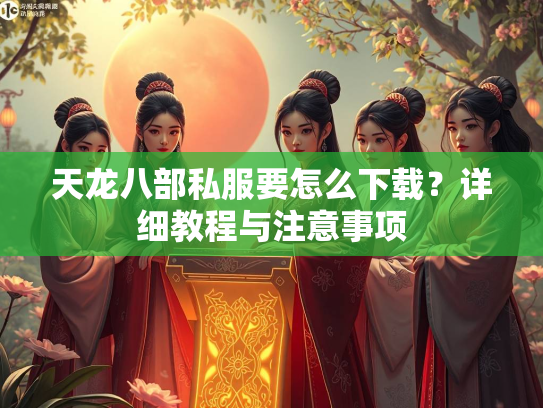 天龙八部私服要怎么下载？详细教程与注意事项  第4张