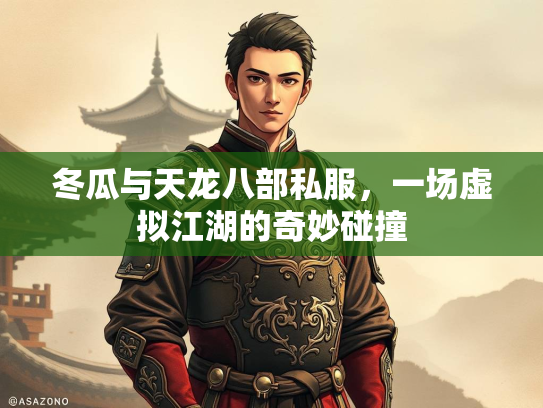 冬瓜与天龙八部私服，一场虚拟江湖的奇妙碰撞  第4张
