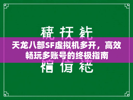 天龙八部SF虚拟机多开，高效畅玩多账号的终极指南